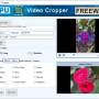 Download Freeware Video Cropping Tool