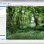 Windows 10 - DP Animation Maker 3.5.28 screenshot