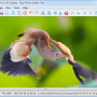 Windows 10 - Easy Photo Studio FREE for Windows 4.0.1 screenshot
