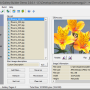 Windows 10 - Easy Web Gallery Builder 2.2.0.2 screenshot