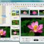 Windows 10 - Faststone Image Viewer 7.8 screenshot