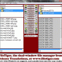 Windows 10 - FileTiger 2.00 screenshot