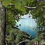 Forest World 3D Screensaver