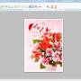 Free Greeting Cards Online