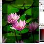 Windows 10 - Gimp for x64 Windows 2.10.36 screenshot