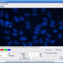 Windows 10 - GSA Image Analyser 4.3.9 screenshot