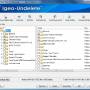 Windows 10 - IGEO UNDELETE 1.0 screenshot