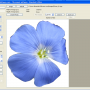 Windows 10 - MosaicArtSoftware 1.0 screenshot