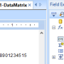 Windows 10 - Crystal Reports Data Matrix Generator 2023 screenshot