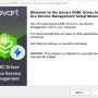 Windows 10 - Jira Service Management ODBC Driver by Devart 1.2.0 screenshot