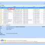 Windows 10 - OST File Conversion 6.0 screenshot