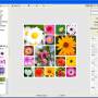Windows 10 - PhotoScape 3.7 screenshot