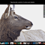 Windows 10 - Polarr Photo Editor 5.0 screenshot