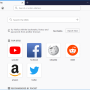 Windows 10 - Portable Firefox 125.0.2 screenshot