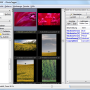 Windows 10 - Portable JPhotoTagger 1.1.7 screenshot