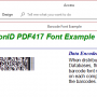 PrecisionID PDF417 Barcode Fonts