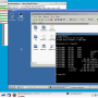 Windows 10 - QEMU 7.2.0 screenshot