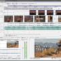 Windows 10 - Sony Vegas Movie Studio Platinum 23.0.1.192 screenshot