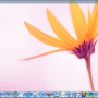 Windows 10 - SSuite NetVine LAN Suite 2.6.4.4 screenshot