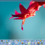 Windows 10 - SSuite Office Excalibur Release 4.40.14.4 screenshot