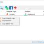 Windows 10 - SterJo Instagram Password Finder 2.0 screenshot