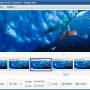Windows 10 - ThunderSoft Video to GIF Converter 5.4.0 screenshot