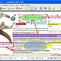 Windows 10 - VeryPDF PDF Editor 5.0 screenshot