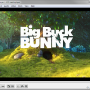 VLC Media Player Portable