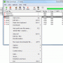 Windows 10 - Web Downloader 1.3.0.0 screenshot