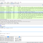 Windows 10 - Wireshark (x64bit) 4.2.4 screenshot